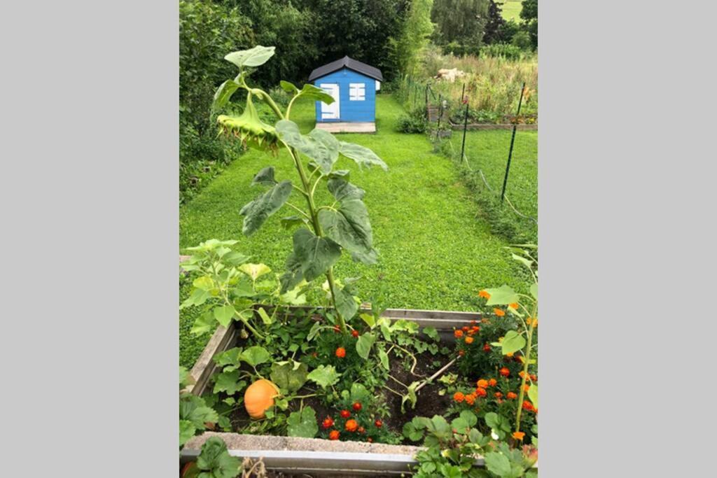 Maison Au Coeur Du Vignoble Jurassien 90 M2 Lavigny Bagian luar foto
